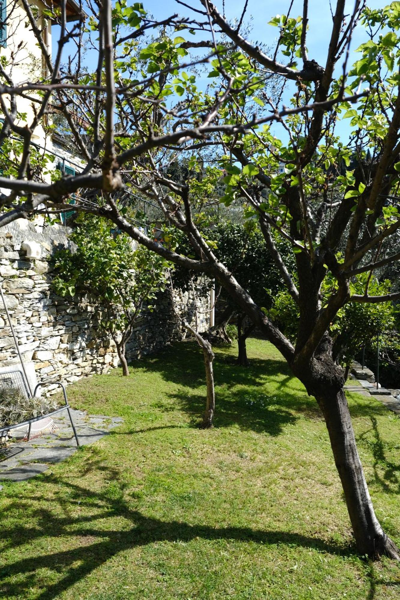 L'Alcova Tra Gli Ulivi By Portofinovacanze Zoagli Exterior foto